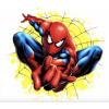 CUKROVÁ TLAČ jedlý obrázok na tortu Cukrová hmota SPIDEY SPIDERMAN 35 + MENO