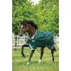 Deka nepromokavá Rambo, 0 g, green/silver Délka zad: 115 cm