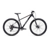 CTM RAMBLER 1.0 29