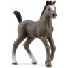 Schleich Žriebä plemena Selle Français