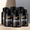RoyalChaga Cordyceps Kapsule Extrakt 90ks 6-pack