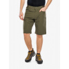 Turistické kraťasy Salomon Wayfarer Short - grape leaf
