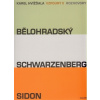 Vzpoury II. - Bělohradský, Schwarzenberg, Sidon - Karel Hvížďala