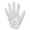 Women's Golf Glove Under Armour Women IsoChill Golf Glove šedá LM Under Armour 0195252746131