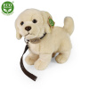 Eco-Friendly pes zlatý retriever stojaci s vodítkom 25 cm