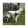 Walkinpets - Invalidný vozík - Veľká veľkosť (32 - 68+ kg) Ružová 35 - 42 cm