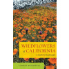 Wildflowers of California