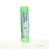 Echinacea Angustifolia gra.1 x 4 g 5CH