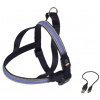 Nobby Flash Mesh svietiace modrý postroj veľ. S (50-65cm)