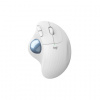 Logitech Ergo M575 myš Pravoruké RF Wireless + Bluetooth Trackball 2000 DPI (910-005870)