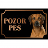 Rodézsky ridžbek - Kovová tabuľka POZOR PES