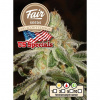 Fair Seeds - Girl Scout Cookies 10 ks - Semená neobsahujú THC