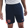 Nike Barcelona Strike Third Shorts 2025 2026 Adults Blue/Orange XL