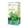 MEGAFYT Bylinková lekáreň SKOROCEL bylinný čaj 20x1,5 g (30 g), 8595151949299