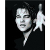 Zuty Diamantové maľovanie LEONARDO DICAPRIO 40x50 cm vypnuté plátno na rám
