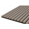 Meo Acoustic Gullfoss