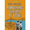 Working Theory of Love