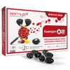 BARNY'S Koenzým Q10 dual 60 mg 30 cps