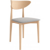 Salon Retro Scandinavian Modern (Salon Retro Scandinavian Modern)
