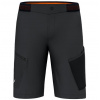 Salewa Pedroct 3 Dst M Cargo Shorts black 2XL