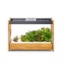 Click and Grow® Smart Garden 25 Inteligentný kvetináč Farba: Sivá