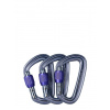 Karabíny Black Diamond LiteForge Screwgate 3 Pack - gray