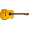 TANGLEWOOD TW40-12 SD AN E