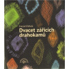 Dvacet zářících drahokamů - David Hrbek