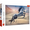 Vznešený kôň 1000 dielikové HQ puzzle - Trefl