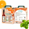 Sirup Monin 750 ml Mix na koktaily