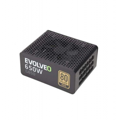 EVOLVEO G650/650W/ATX/80PLUS Gold/Modular/Retail (E-G650R)