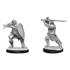 Dungeons & Dragons Nolzur's Marvelous Miniatures - Human Paladin Male 2-Pack, 4 cm