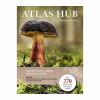 Atlas húb (Markus Flück)