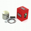 PIEST POWER FORCE PEUGEOT BUXY 47,60 PF 10 009 0072