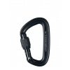 Karabína Black Diamond LiteForge Screwgate - black