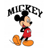 CUKROVÁ TLAČ jedlý obrázok na tortu Cukrová hmota Potlač Myšiak Mickey Mickey + meno