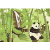 Vymalujsisam.sk Maľovanie podľa čísiel - Panda v pralese Veľkosť: 40x60cm, Rám: Bez rámu, iba zrolované plátno
