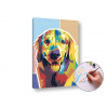 Maľovanie podľa čísel na plátno GOLDEN RETRIEVER – nízka náročnosť (Sada na maľovanie podľa čísel ARTMIE)