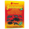 Tropical Gammarus 12 g