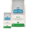 FARMINA, Italia Farmina Vet Life cat renal 2 kg