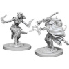 Dungeons & Dragons Nolzur's Marvelous Miniatures - Female Tiefling Warlock 2-Pack, 4 cm
