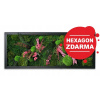 Kvetinový obraz so stabilizovaným machom SUNSET 40x120cm