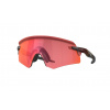 Oakley Encoder