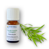 Arttec Palina dračia - estragón de Provence (Artemisia dracunculus), Palina Dračia NAT00044
