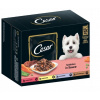 CESAR SELECTION MÄSO A ZELENINA V OMÁČKE 12 X 100G