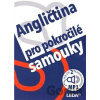 Angličtina pro pokročilé samouky - Ludmila Kollmannová