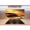 Panel do kuchyne Ťava Sahara 100x50 cm