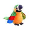 Hovoriaci opakujúci papagáj, zelený