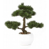 Umelé stromy bonsai pine pine 38 cm tree (Umelé stromy bonsai pine pine 38 cm tree)