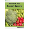 Broccoli and Brussels Sprouts